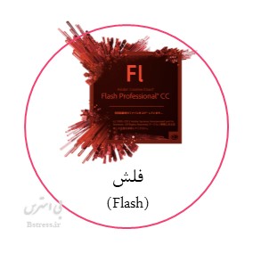 آزمون آنلاین نرم افزار فلش (Flash)